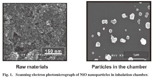 NiO particles suspended in a inhalation chamber