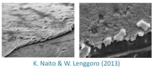 Silver particulate film (prepared by K. Naito)