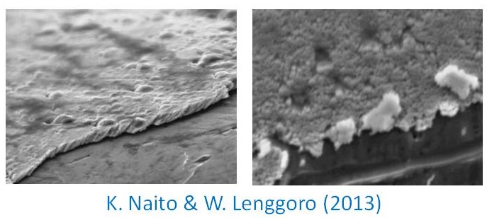 Student presented (in Osaka):  Electroplating. 液中粒子状膜（学生が学会発表）2013