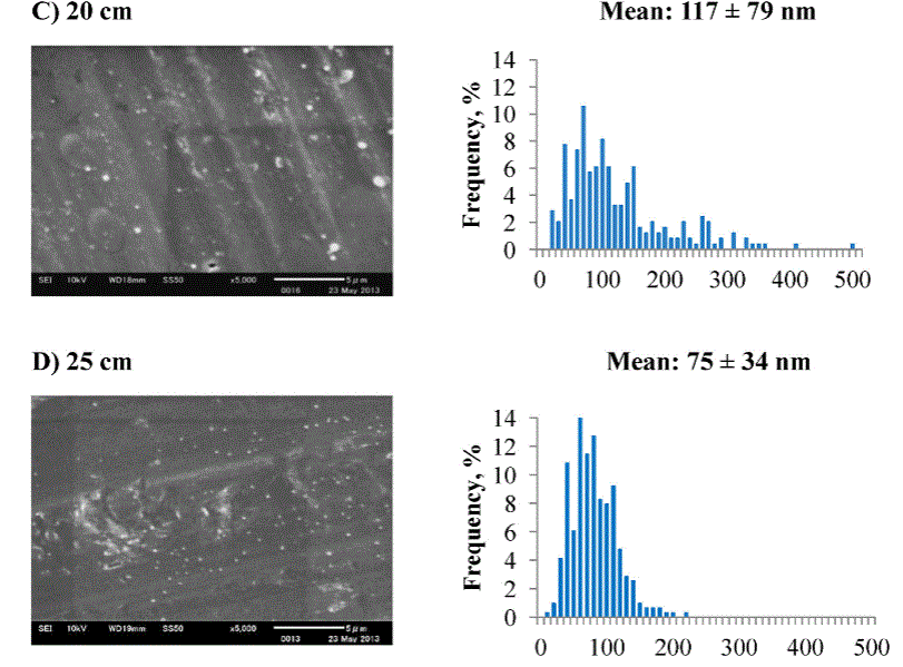 How small can the enzyme be ?酵素粒子はどこまで小さくできるのか？