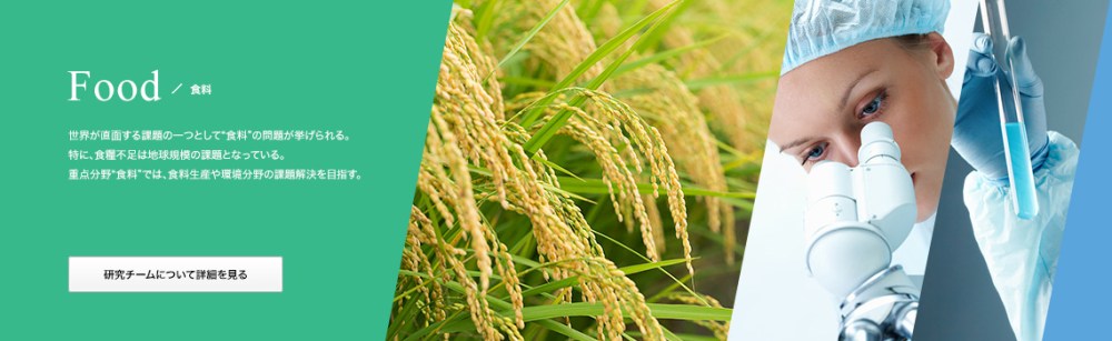 Visitors: TUAT Distinguised Guest Professors (Hong Kong, South Korea, Finland)農工大特別招へい教授3名が研究室訪問