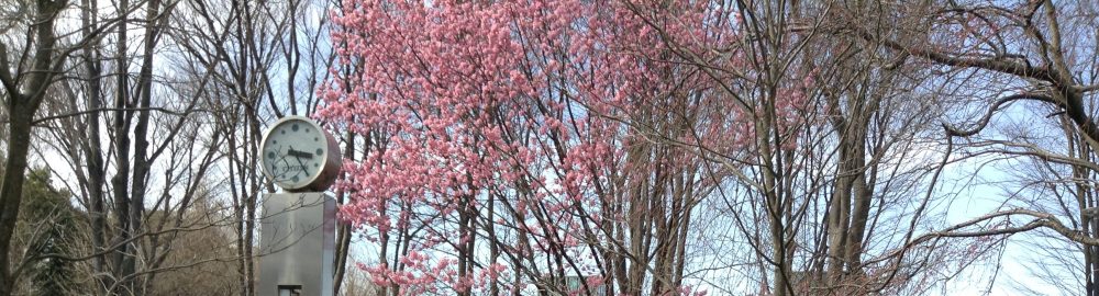 “Old” and “new” students (2019/3)