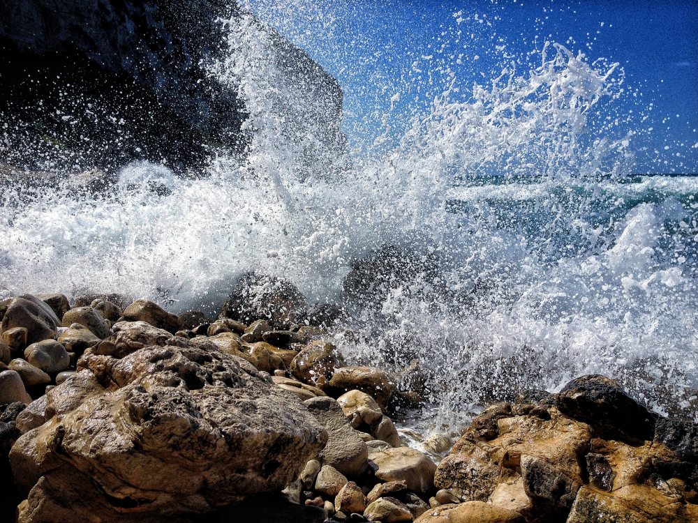 Open Lab (4 Aug. 2017) for high-school students and parents.