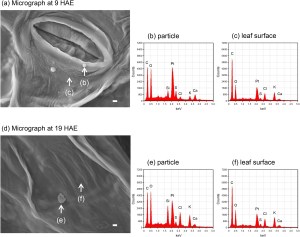 PowerPoint プレゼンテーション