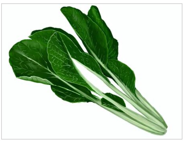 After spraying of water-soluble particles on a crop (komatsuna). 小松菜に水溶性微粒子を散布していた後は？