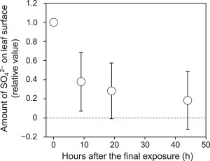 PowerPoint プレゼンテーション
