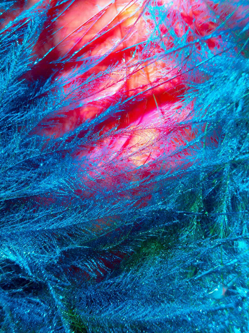 学際的なアプローチの重要性(Essay) Pentingnya pendekatan interdisipliner.