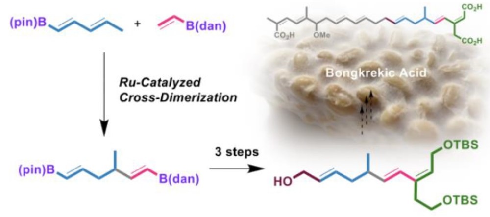 Topic (Hirano Lab): From traditional food (tempe bongkrek) to synthesis of pharmaceutical 伝統食品 (テンペ・ボンクレック) と医薬品合成