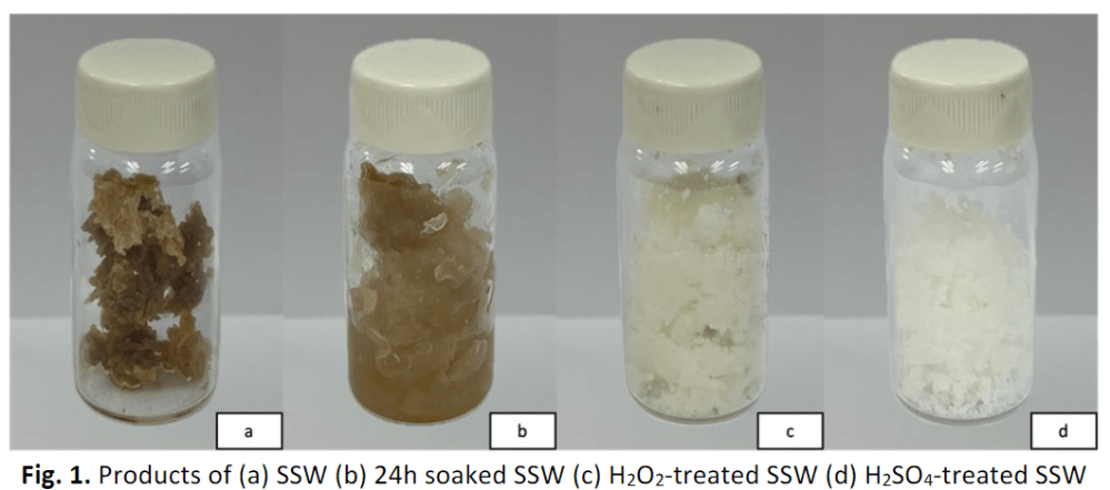 Published) Cellulose Nanocrystals from Solid Seaweed Wastes 海藻廃棄物からナノサイズのセルロースを生み出す
