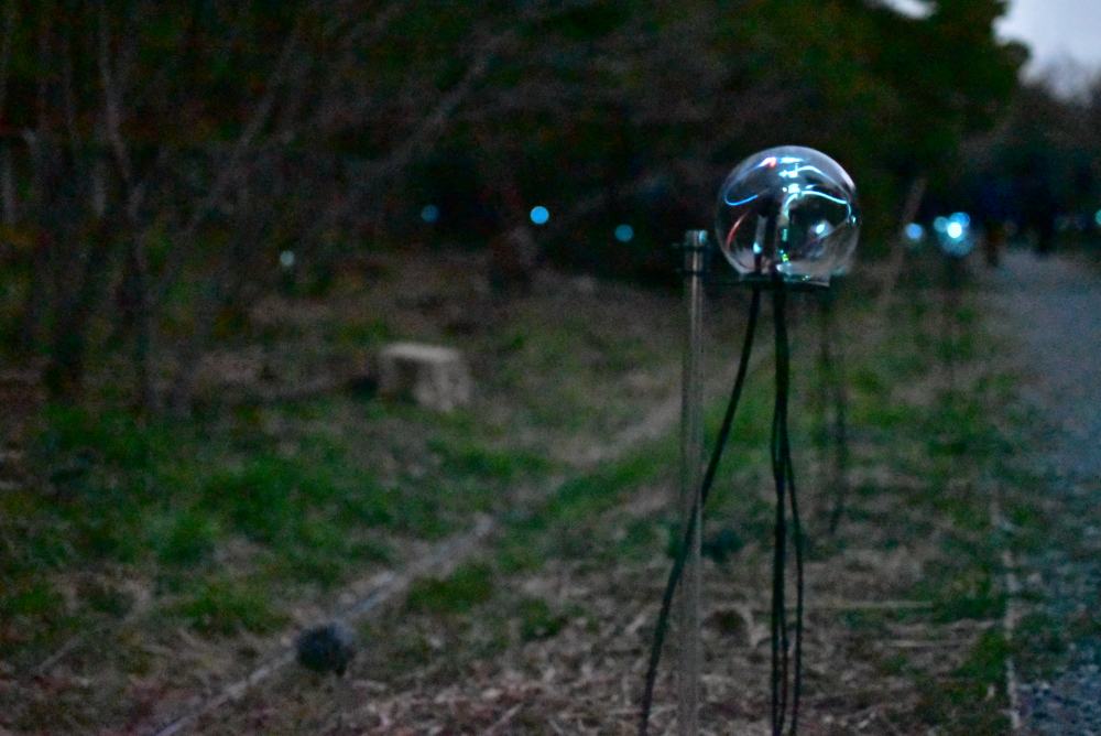 Lenggoro Lab supports “Parallel Forests” Yuma Kishi – Art Exhibition, 2026/3.13-15 岸裕真 展覧会「平行森林」